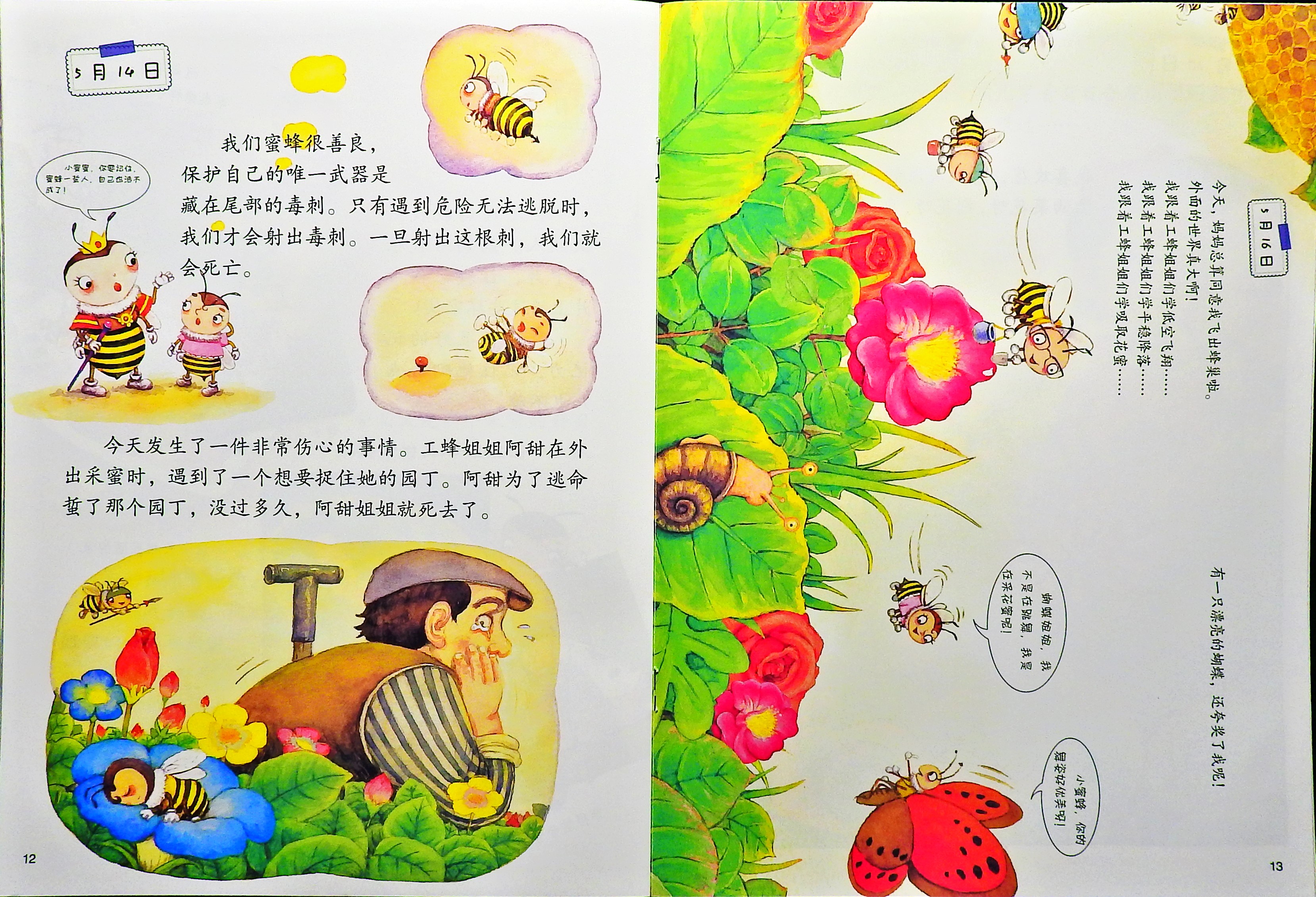 蜜蜂的日记 (08),绘本,绘本故事,绘本阅读,故事书,童书,图画书,课外阅读
